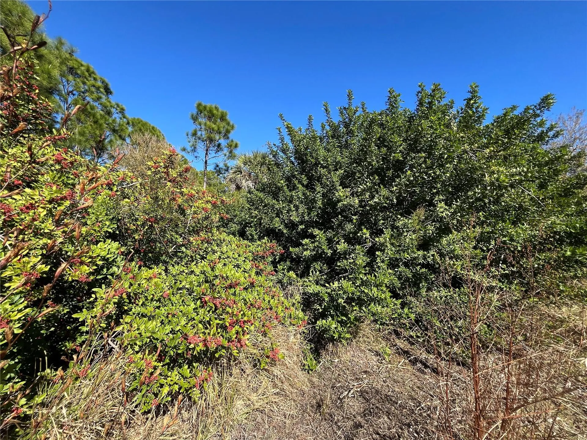 Taplin Avenue North Port FL 34291