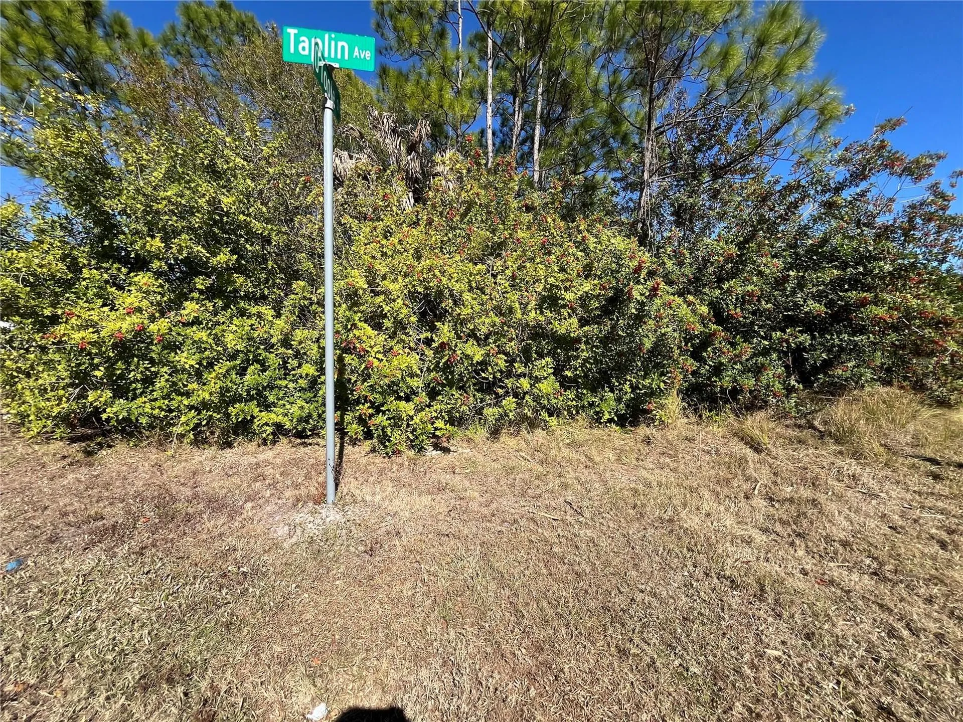 Taplin Avenue North Port FL 34291