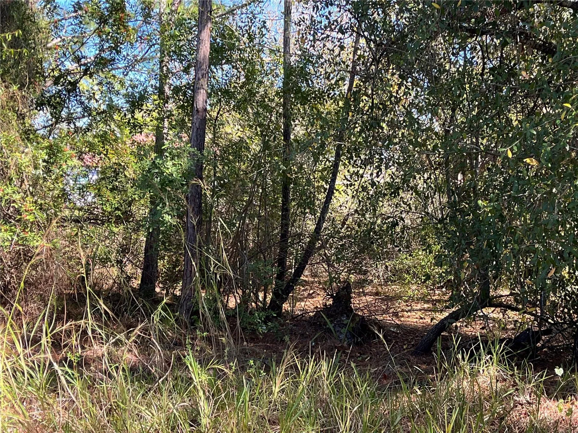 Taplin Avenue North Port FL 34291
