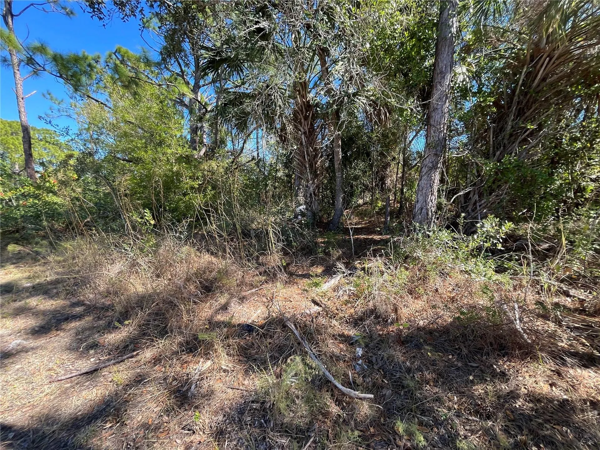 Taplin Avenue North Port FL 34291