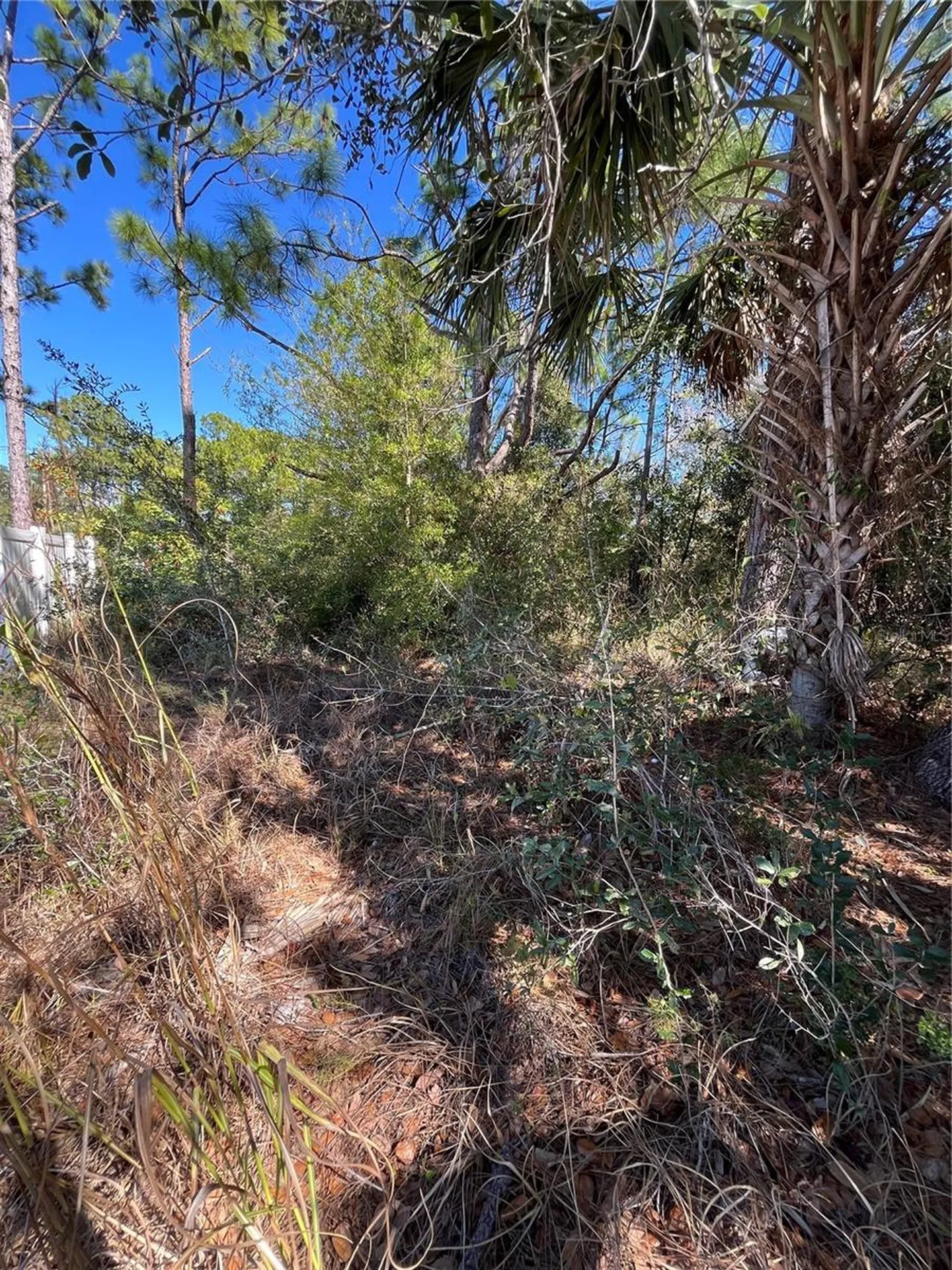 Taplin Avenue North Port FL 34291