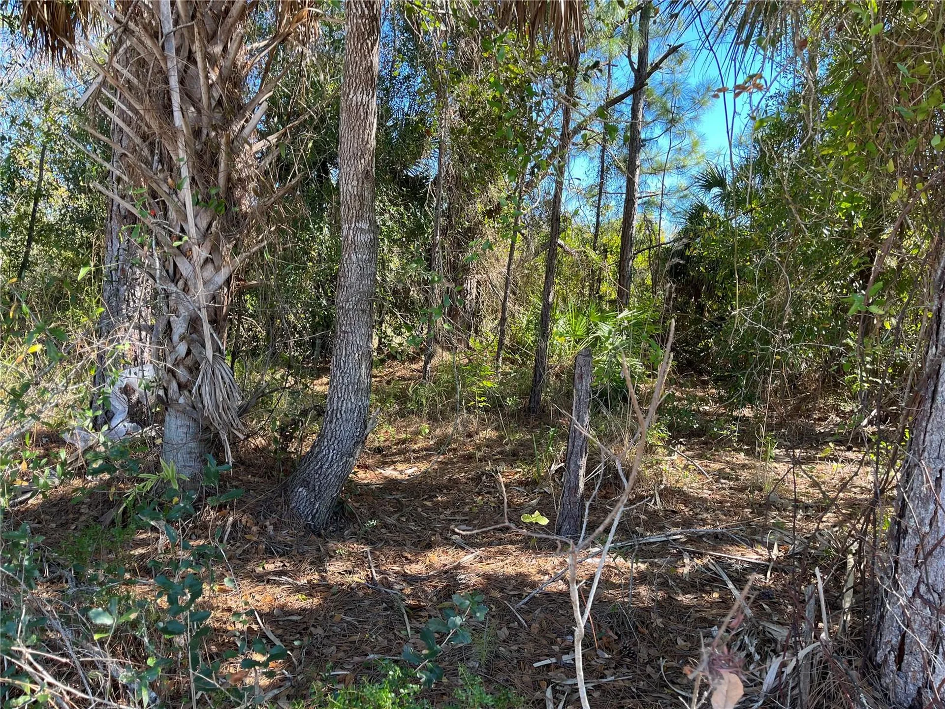 Taplin Avenue North Port FL 34291