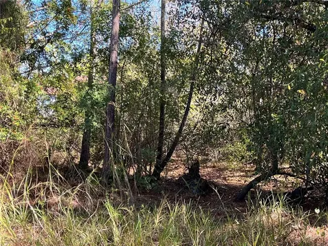 Taplin Avenue North Port FL 34291