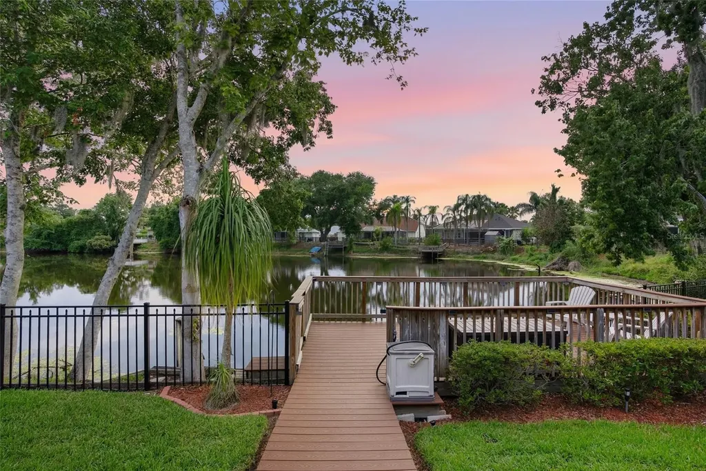 21115 Preservation Drive Land O Lakes FL 34638