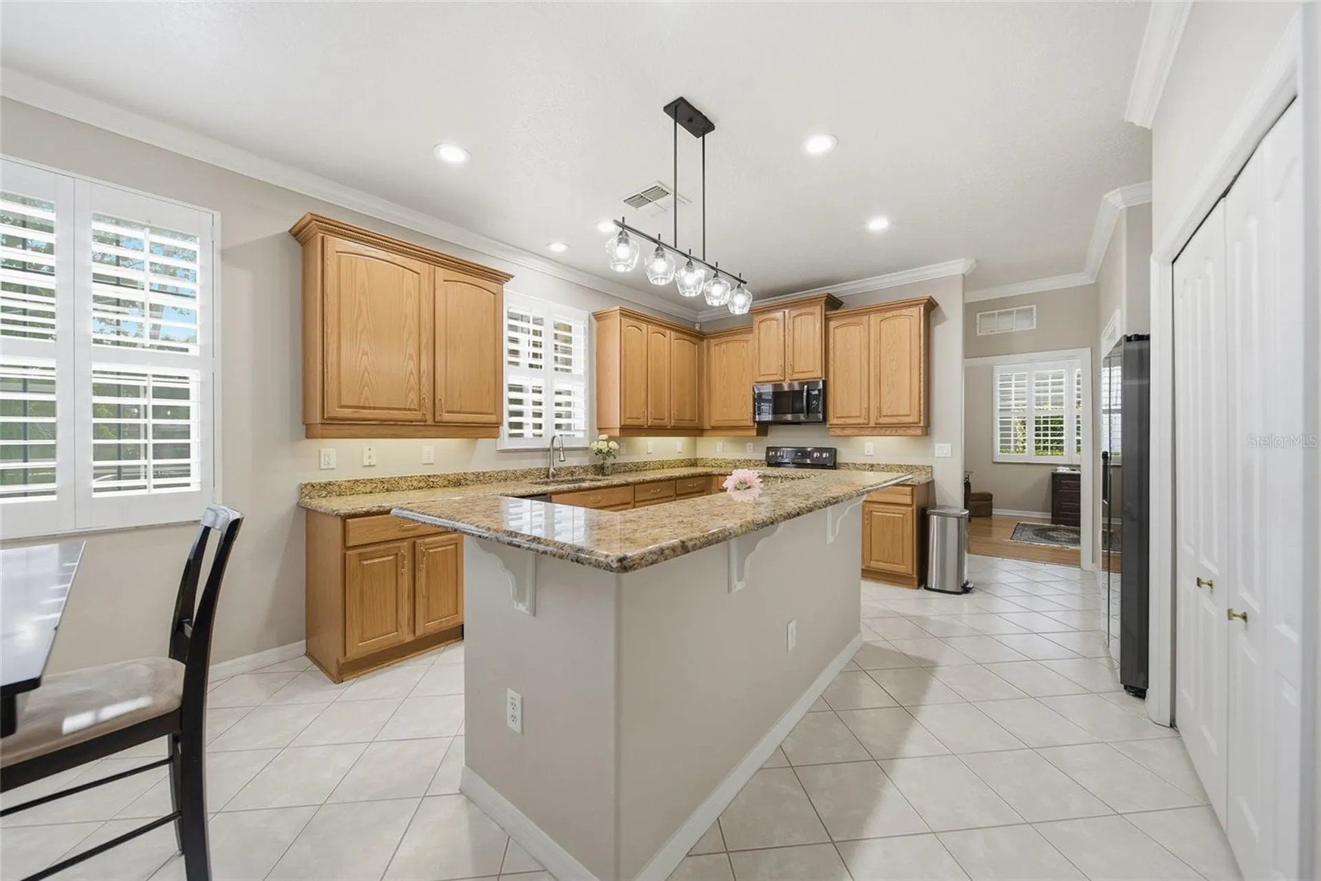 21115 Preservation Drive Land O Lakes FL 34638