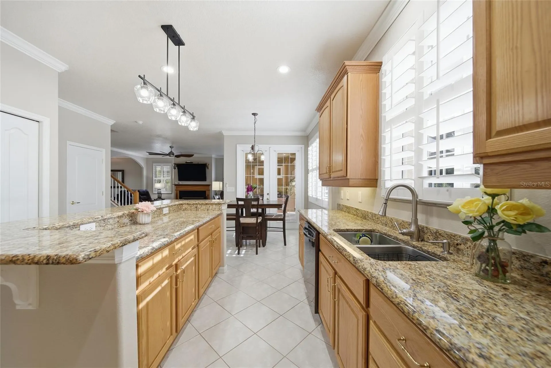 21115 Preservation Drive Land O Lakes FL 34638
