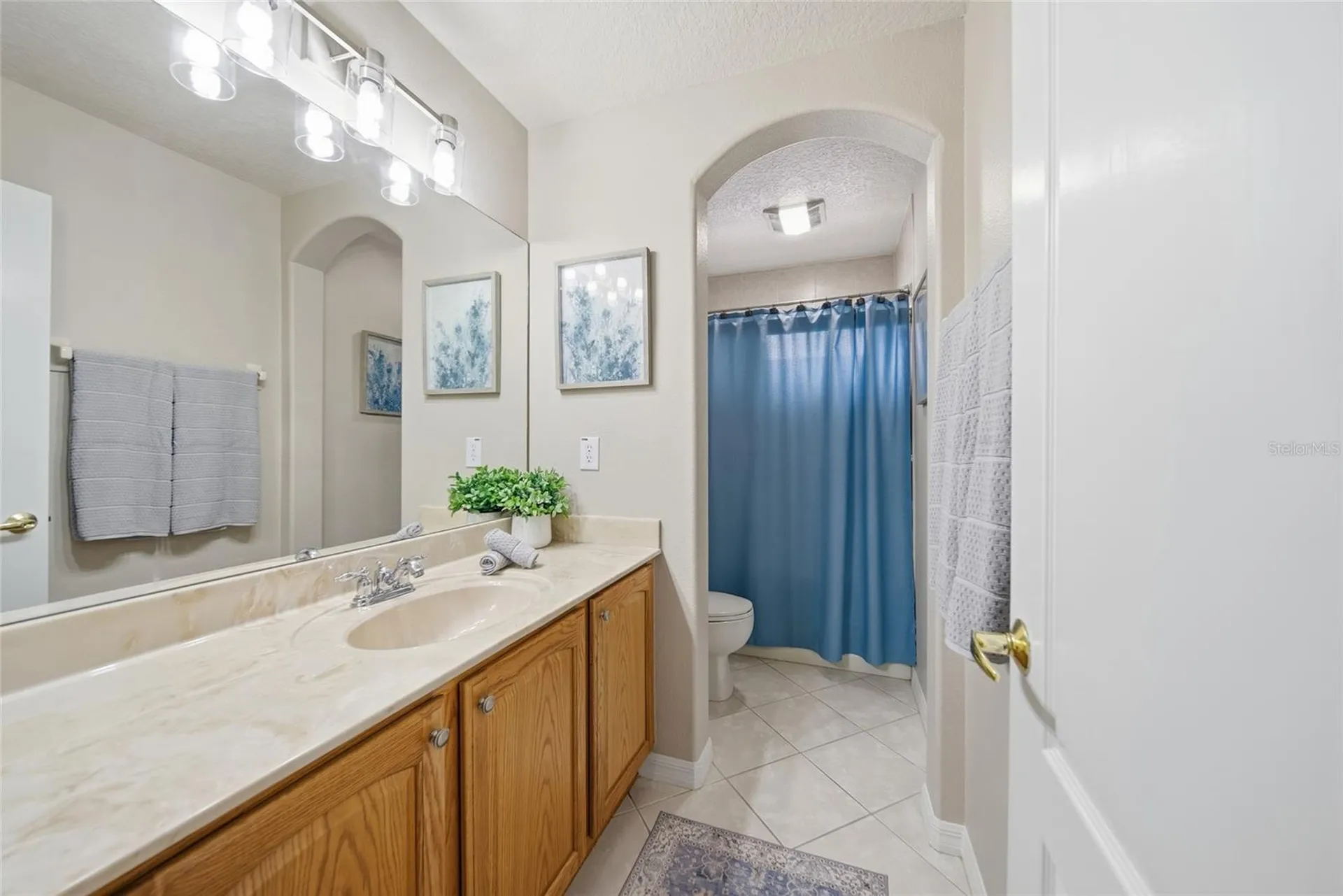 21115 Preservation Drive Land O Lakes FL 34638