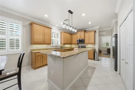 21115 Preservation Drive Land O Lakes FL 34638