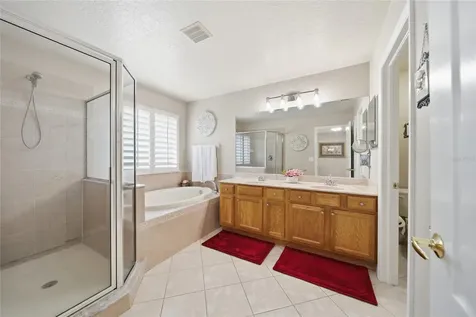 21115 Preservation Drive Land O Lakes FL 34638