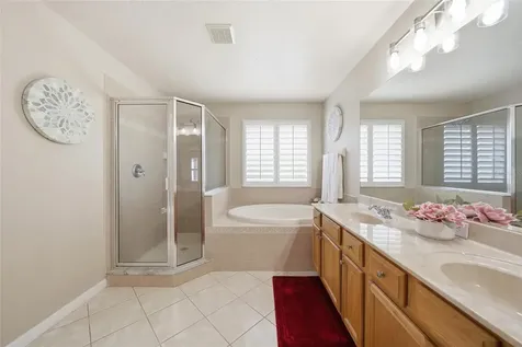 21115 Preservation Drive Land O Lakes FL 34638