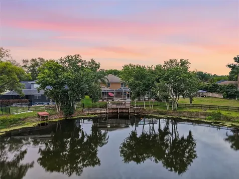 21115 Preservation Drive Land O Lakes FL 34638