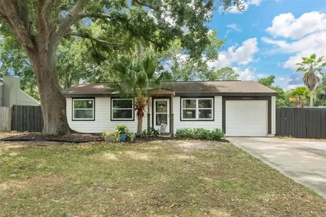 3042 Hanna Court Palm Harbor FL 34684