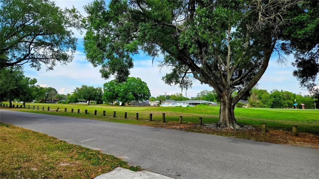 10206 N Oakleaf Avenue Tampa FL 33612