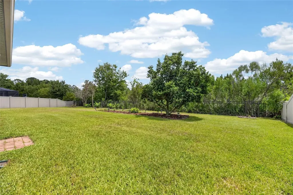 2905 Hilliard Drive Wesley Chapel FL 33543