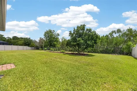 2905 Hilliard Drive Wesley Chapel FL 33543