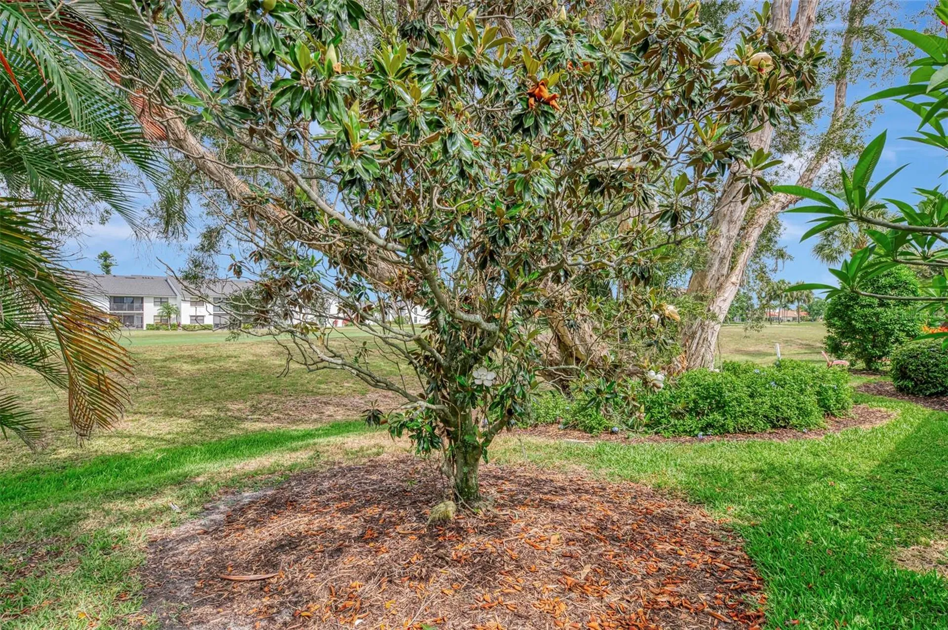 625 Misty Pine Drive Venice FL 34292