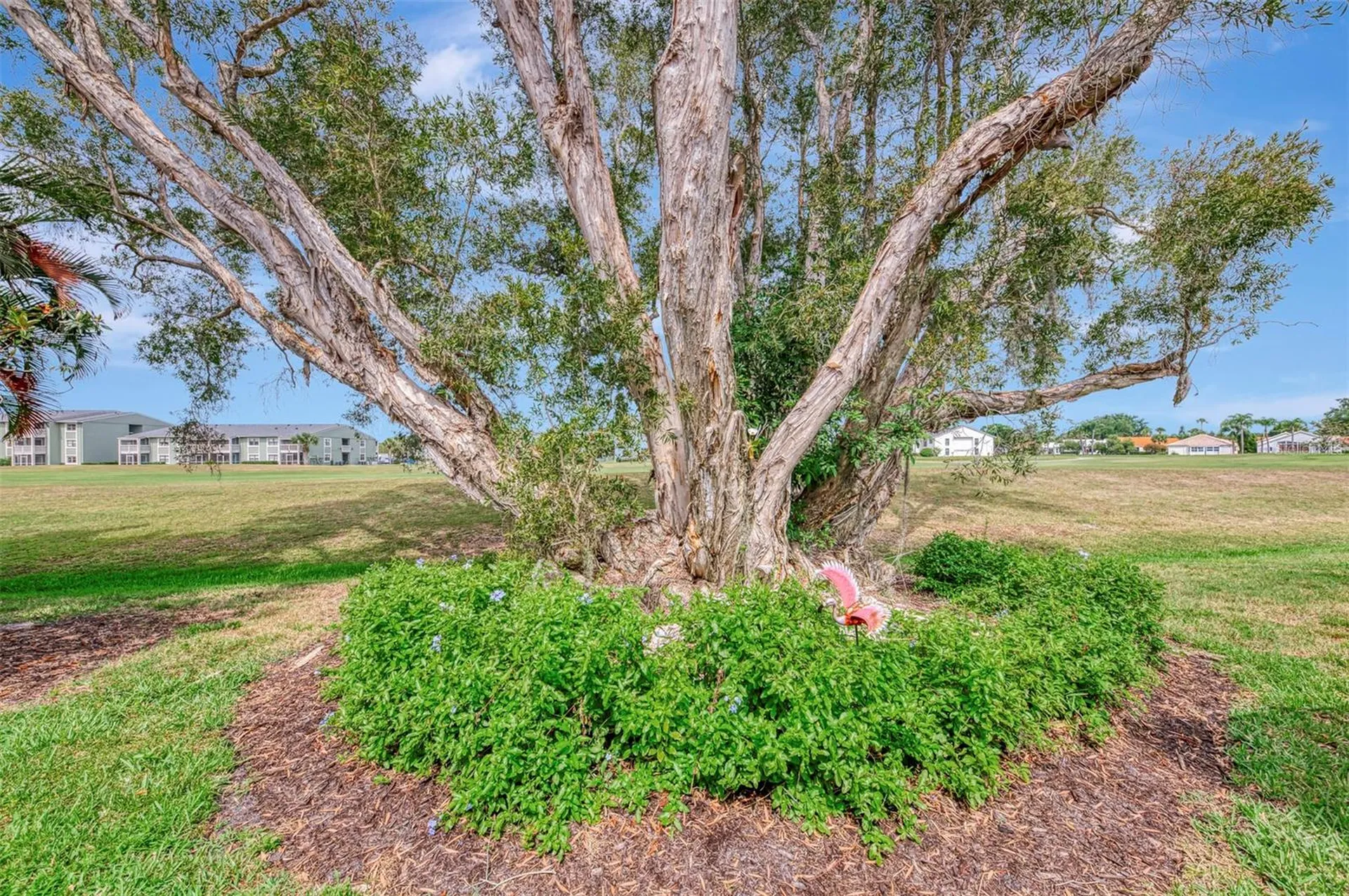 625 Misty Pine Drive Venice FL 34292