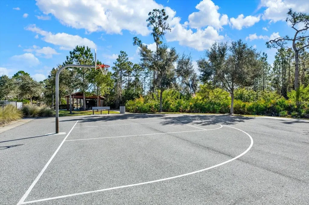 11934 Cross Vine Drive Riverview FL 33579