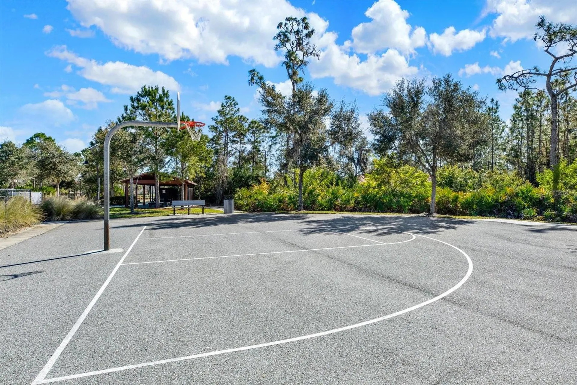 11934 Cross Vine Drive Riverview FL 33579