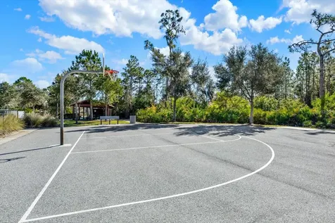 11934 Cross Vine Drive Riverview FL 33579