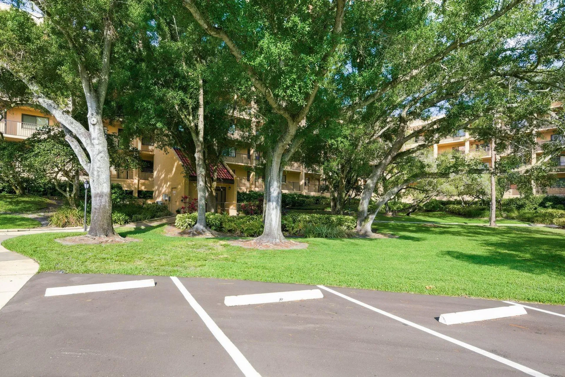 3078 Eastland Boulevard Clearwater FL 33761