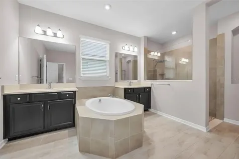 10520 Alcon Blue Drive Riverview FL 33578