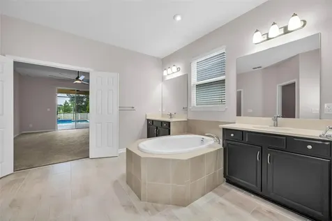 10520 Alcon Blue Drive Riverview FL 33578