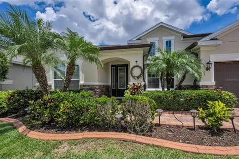 10520 Alcon Blue Drive Riverview FL 33578
