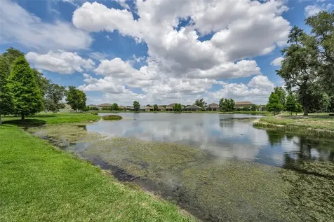 10520 Alcon Blue Drive Riverview FL 33578