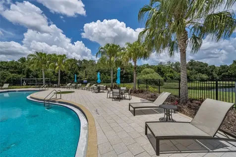 10520 Alcon Blue Drive Riverview FL 33578