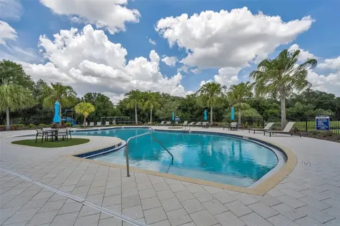 10520 Alcon Blue Drive Riverview FL 33578