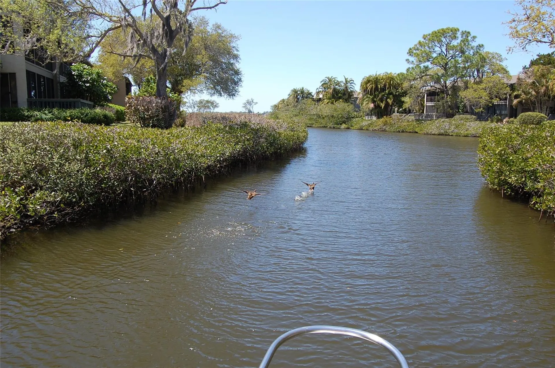 1703 Pelican Cove Road Sarasota FL 34231