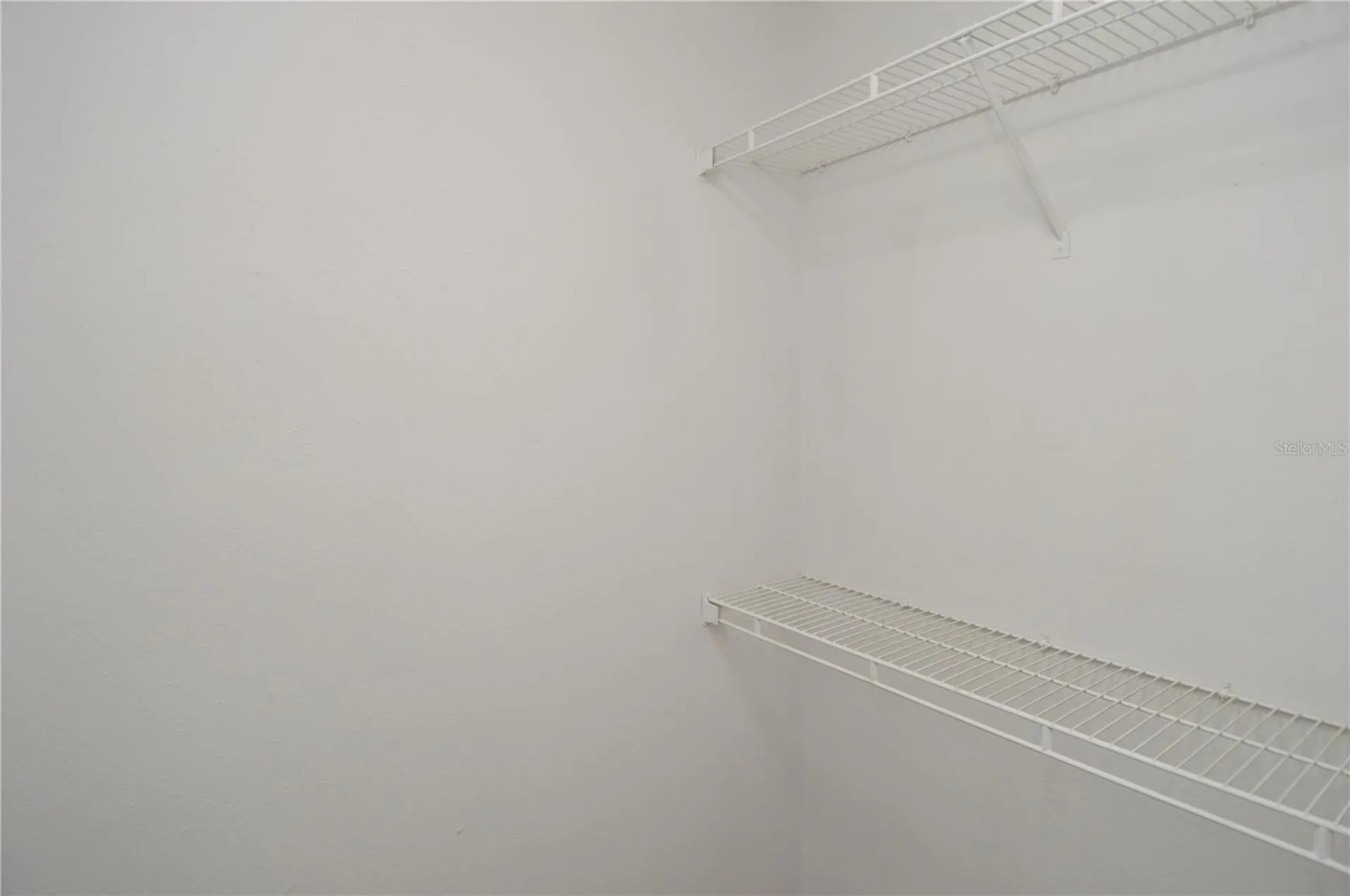 8633 Fancy Finch Drive Tampa FL 33614