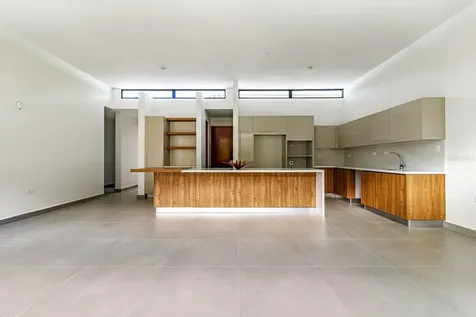 238 Urb. Monteazul Guaynabo PR 00971