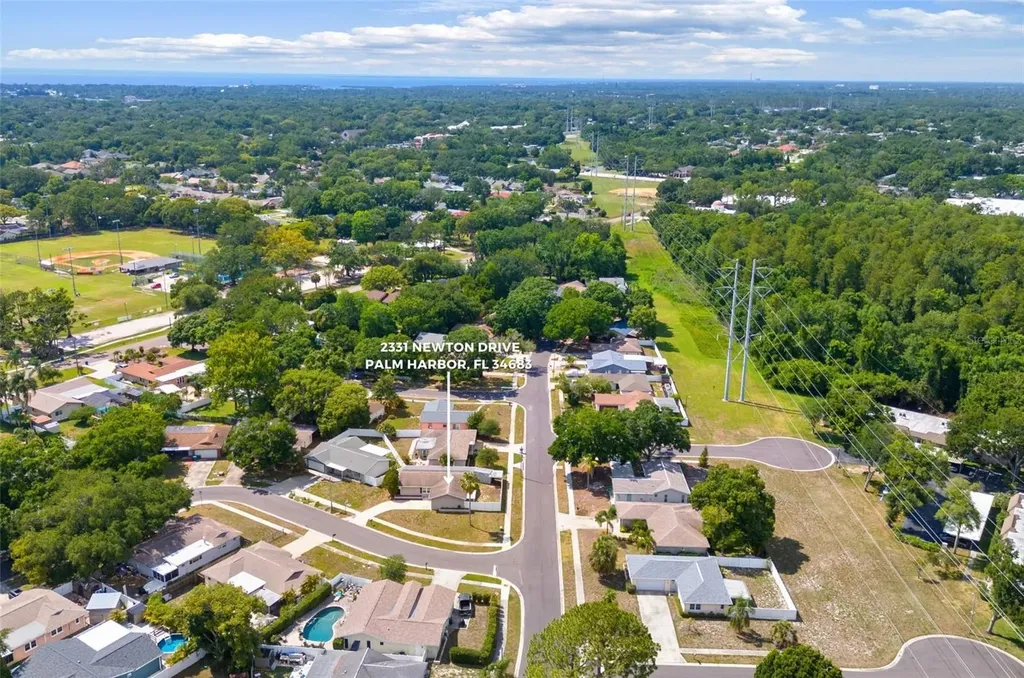 2331 Newton Drive Palm Harbor FL 34683