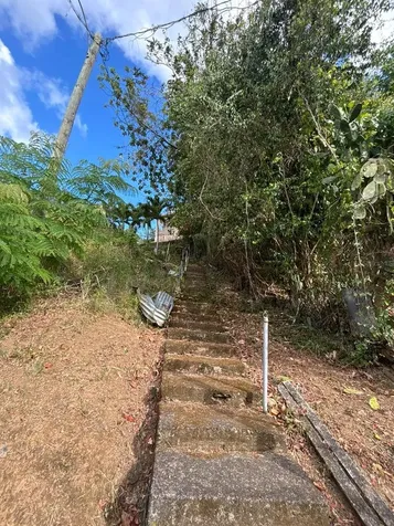 753 Carr. 753 Km Hm 2.9 Bo Cacao Patillas PR 00723