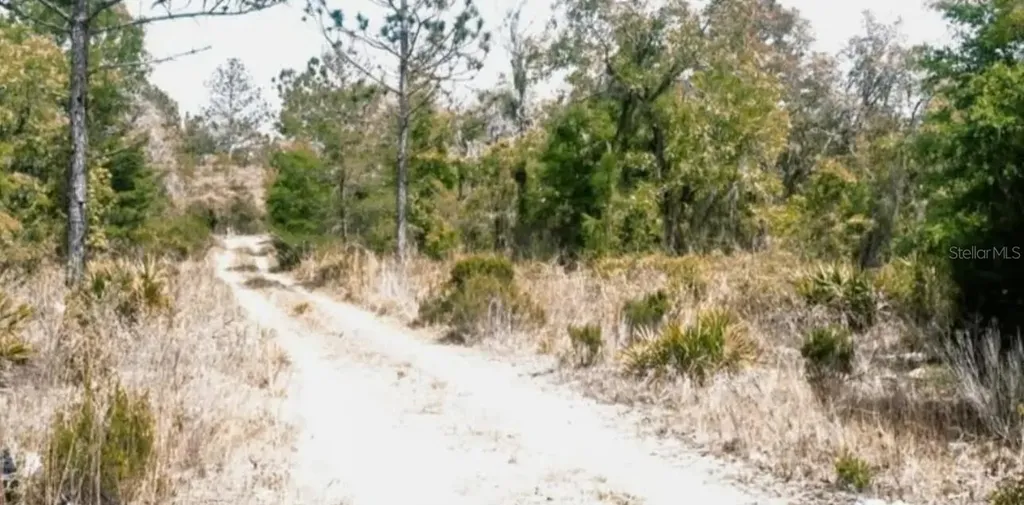 NE 61st Lane Williston FL 32696