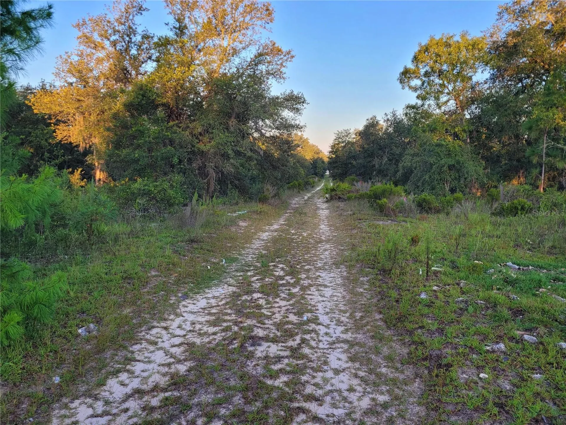 NE 61st Lane Williston FL 32696