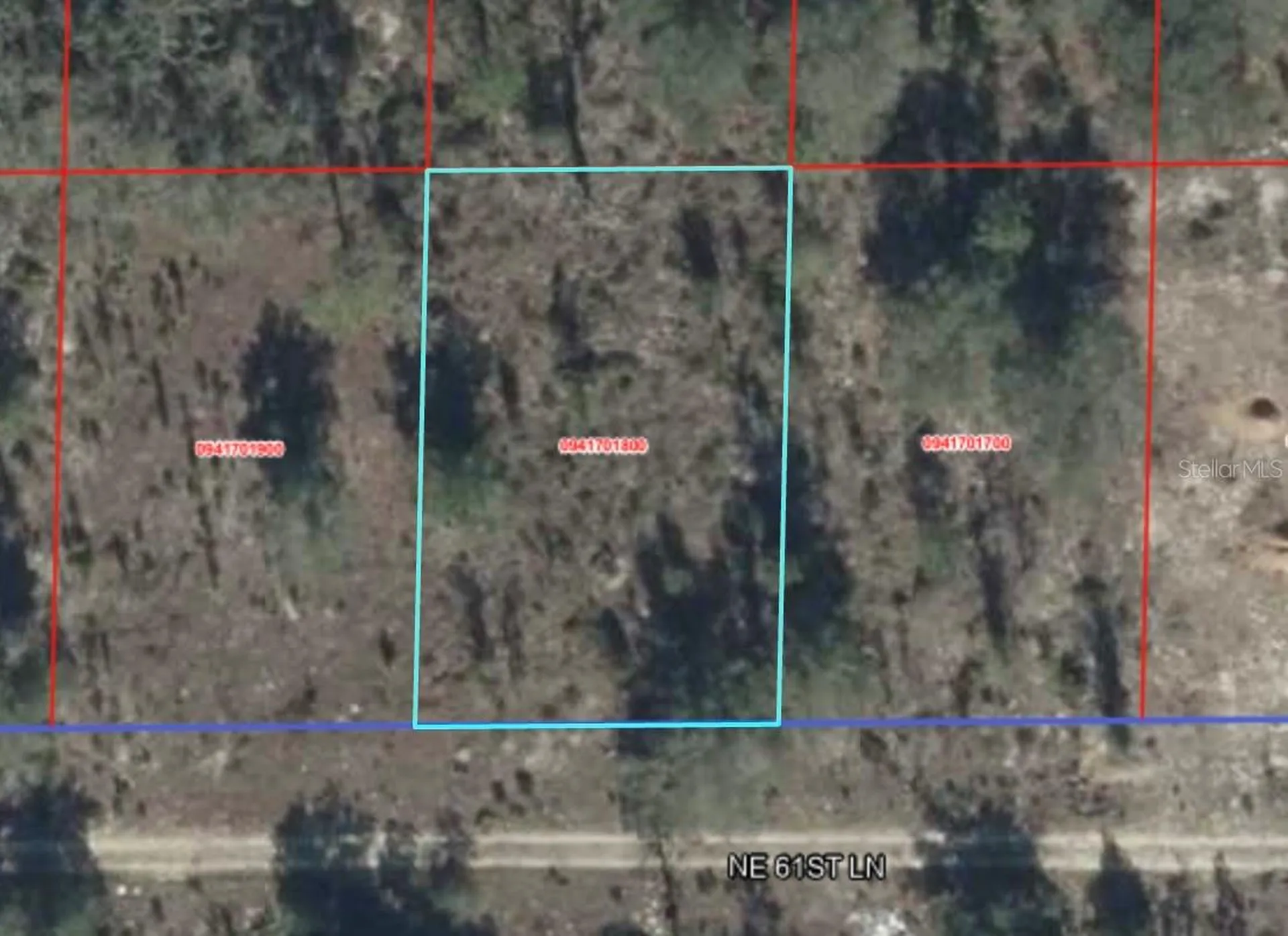 NE 61st Lane Williston FL 32696