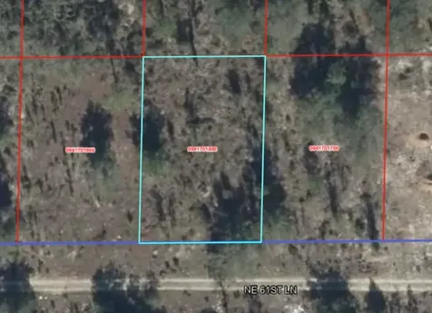 NE 61st Lane Williston FL 32696