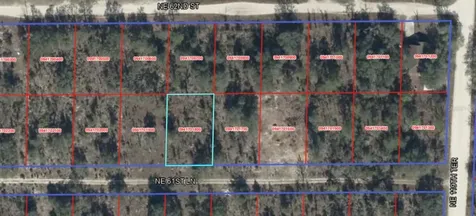NE 61st Lane Williston FL 32696