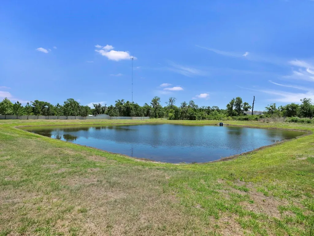 12048 Orchid Ash Street Riverview FL 33579