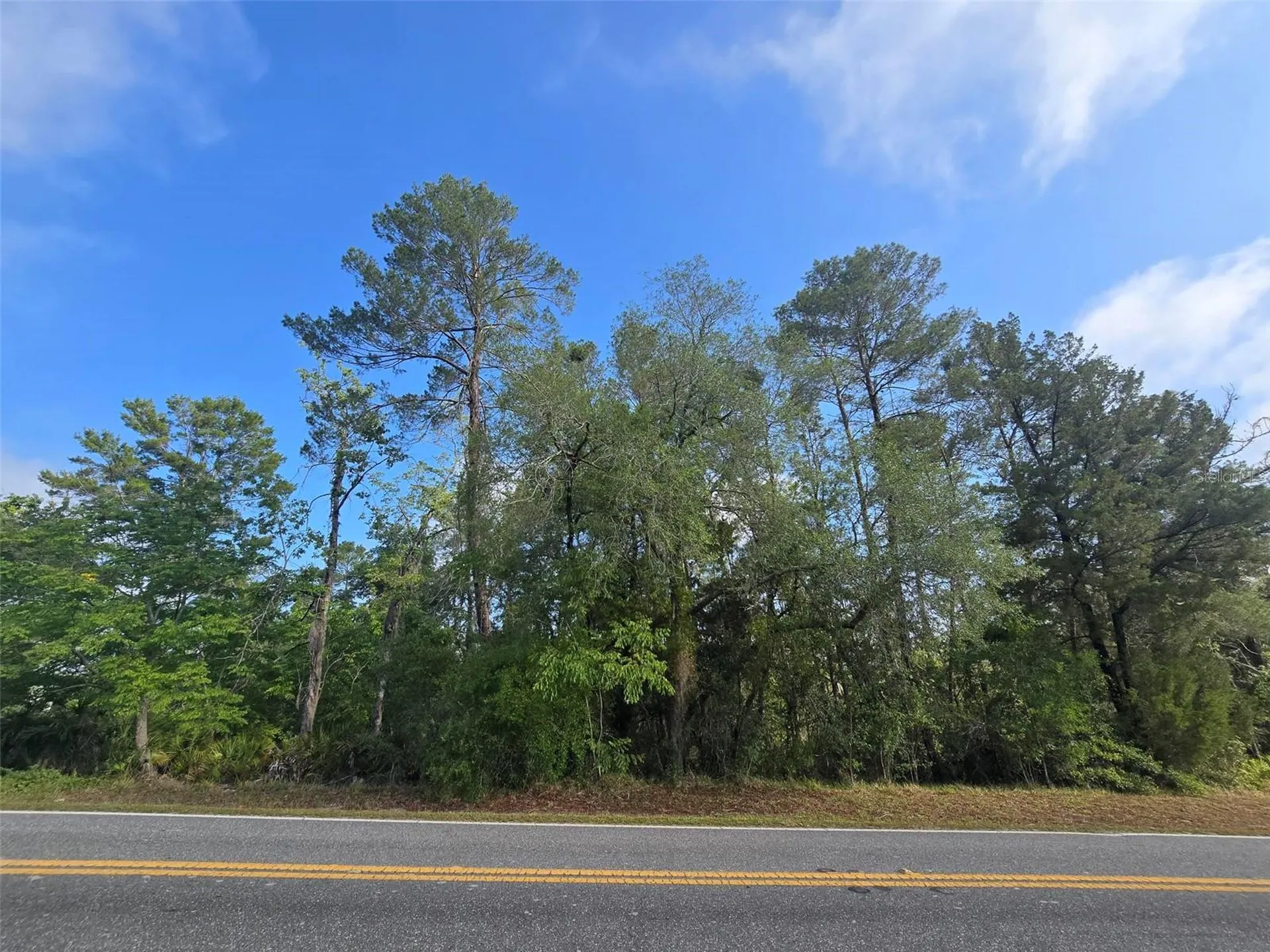 10185 Noddy Tern Road Weeki Wachee FL 34613