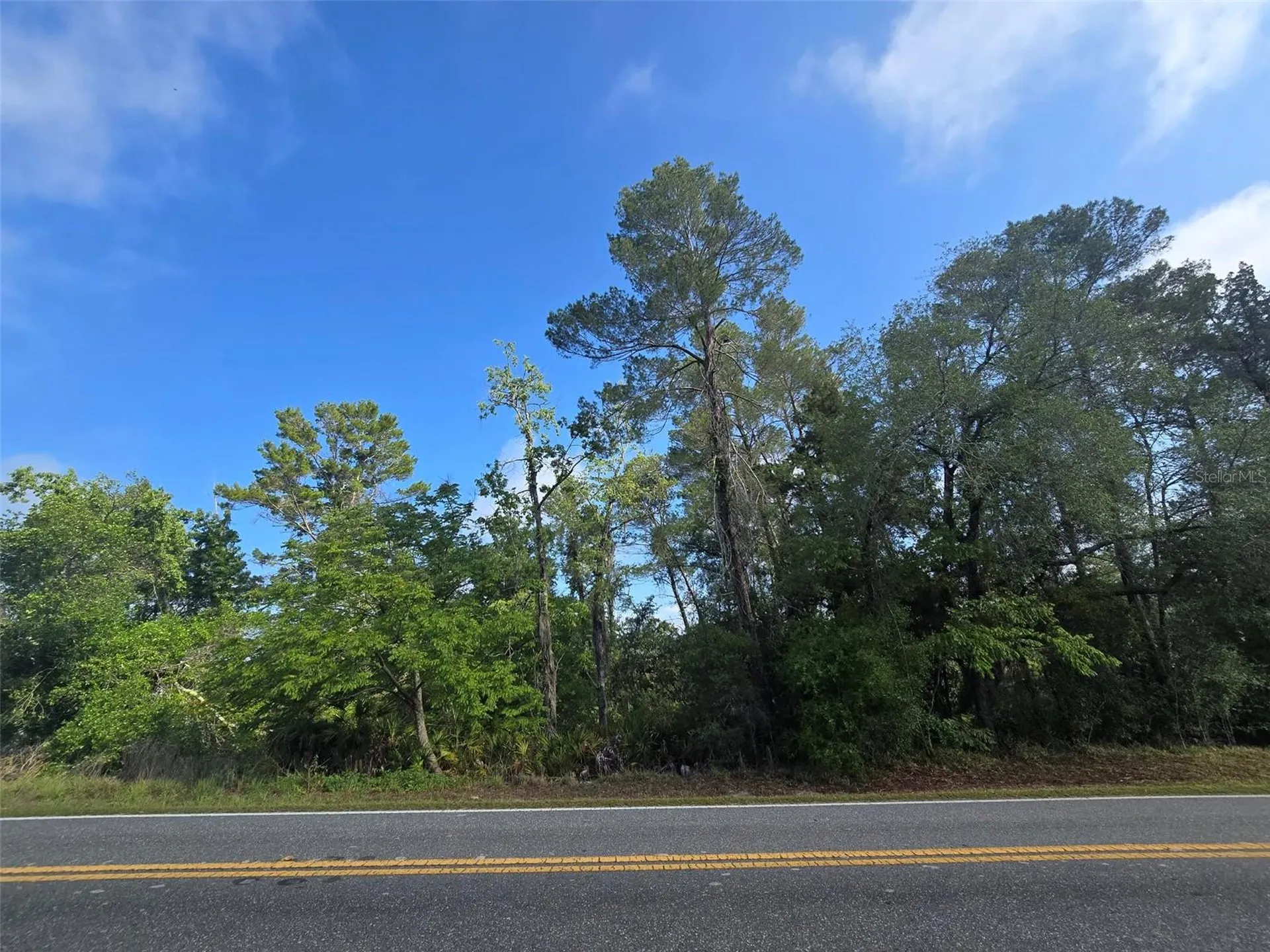 10185 Noddy Tern Road Weeki Wachee FL 34613