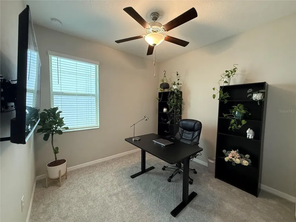 9601 Flourish Drive Land O Lakes FL 34637