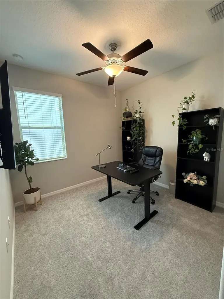 9601 Flourish Drive Land O Lakes FL 34637