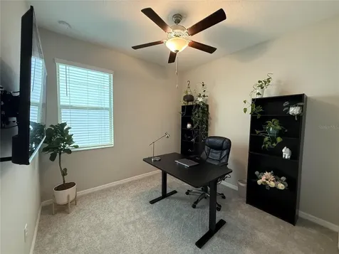 9601 Flourish Drive Land O Lakes FL 34637