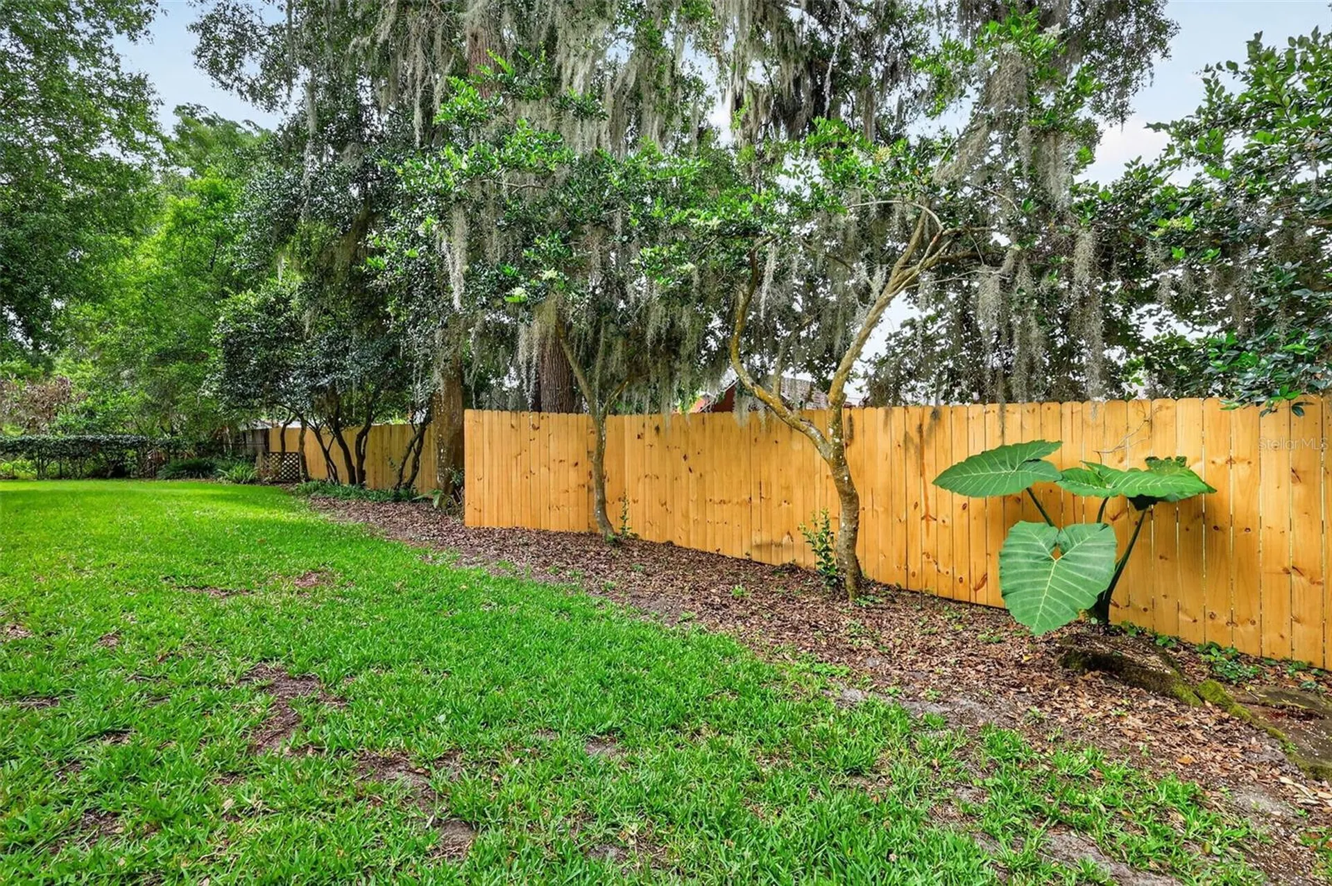 4141 Lake Forest Street Mount Dora FL 32757