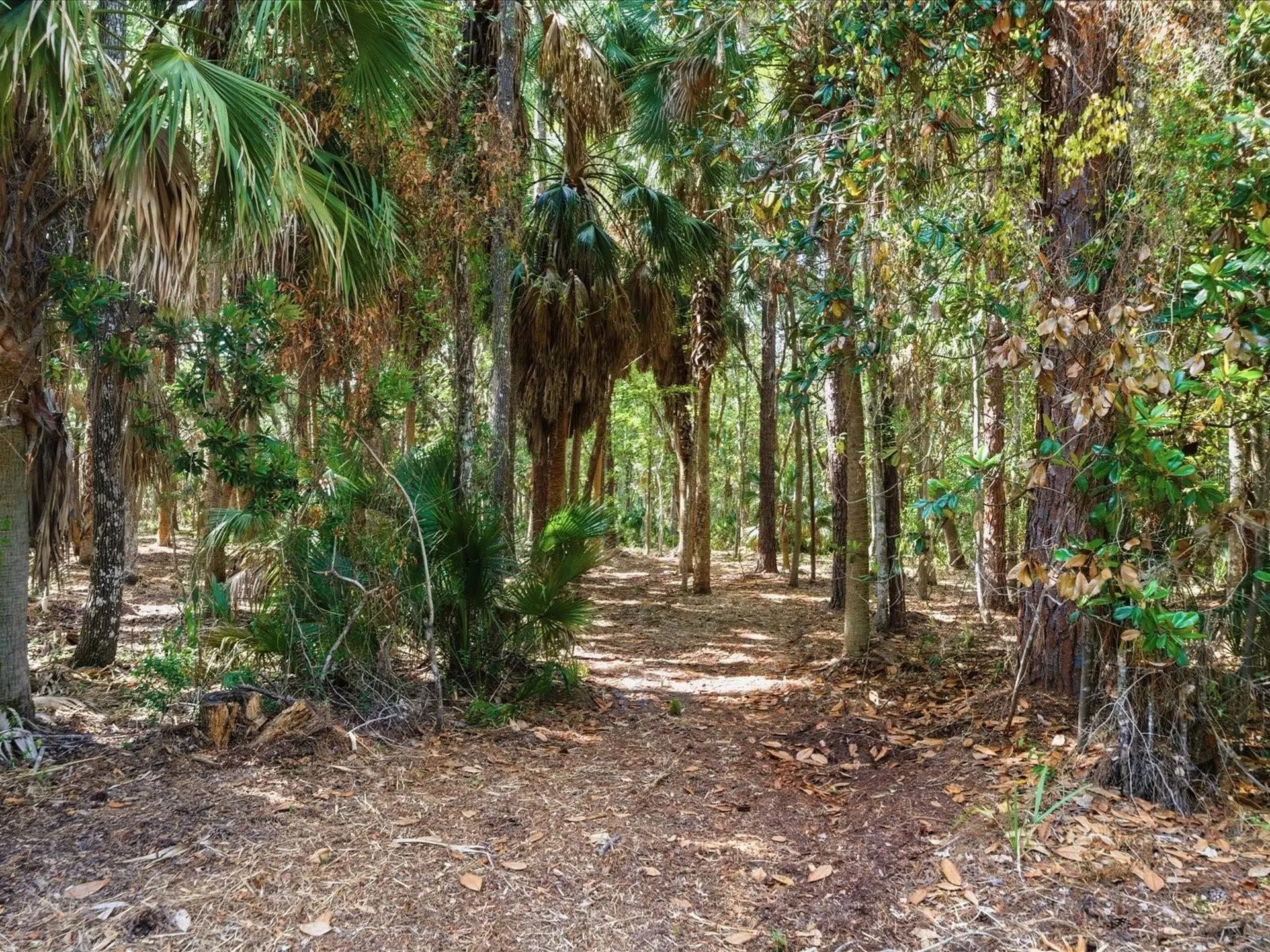 Osowaw Boulevard Spring Hill FL 34607
