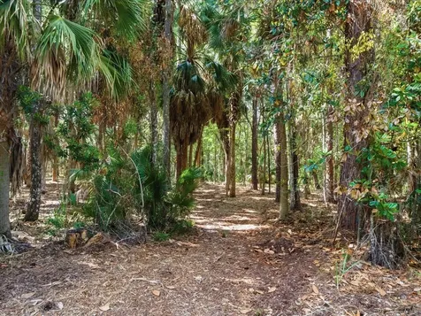 Osowaw Boulevard Spring Hill FL 34607